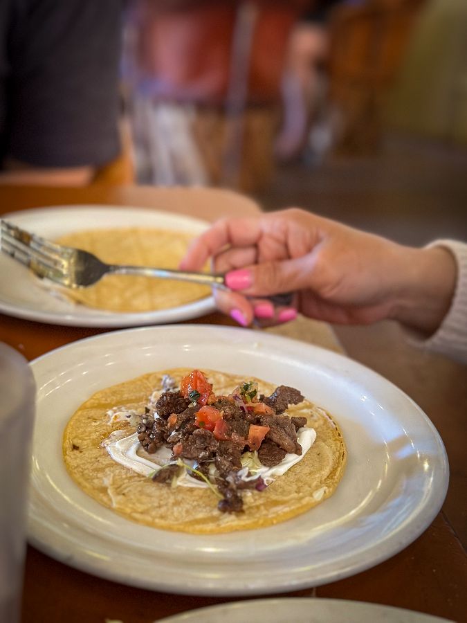 카르네 아사다 타코