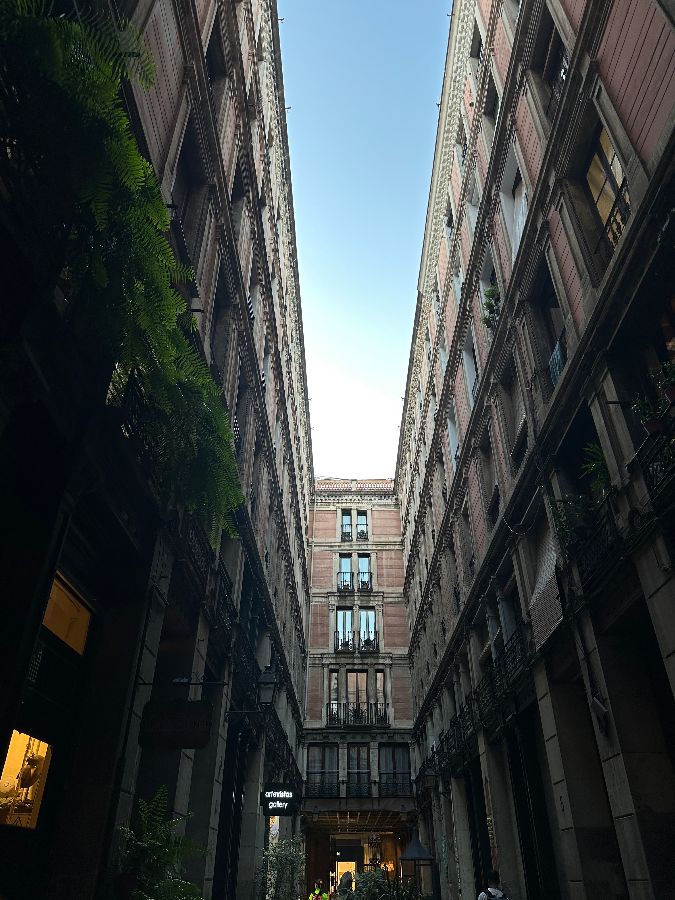 고딕 지구 골목