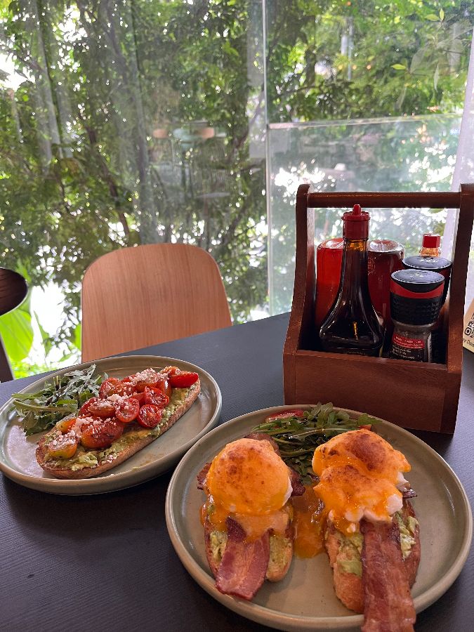 아보카도 토스트와 에그 베네딕트