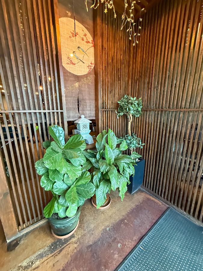 테이블 위에 놓인 스시