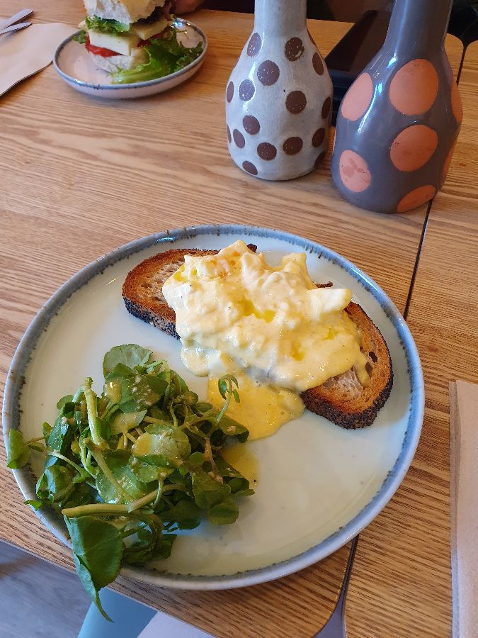 다양한 빵 종류