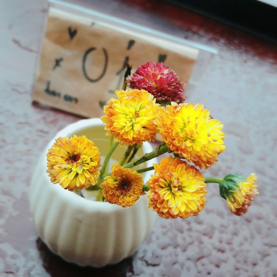 식사 중인 방문객의 팔에 새겨진 개성 있는 문신