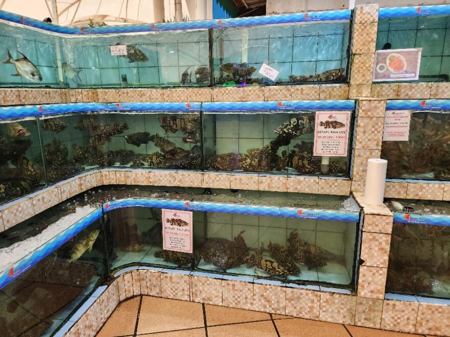 자카르타 맛집, 반다르 자카르타 안콜: 신선한 해산물이 선사하는 미식의 향연