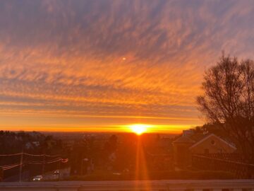 뮌헨 도심의 보석 La Burrita, 미식의 세계로 떠나는 멕시코 맛집 여행