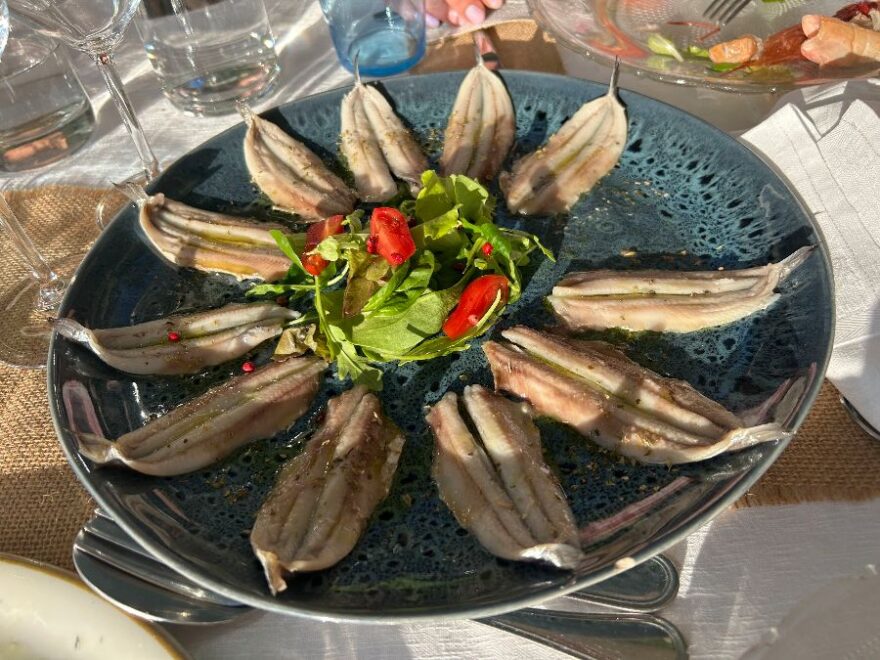 친퀘테레 몬테로소의 숨겨진 보석, Ristorante Il Ciliegio 5Terre 맛집 서사