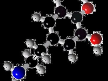 새로운 아침을 여는 골드 코스트 맛집, 코브 카페의 미식 서사