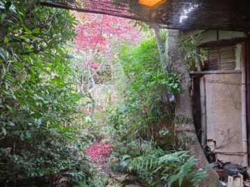 교토의 시간을 담은 달콤한 보물, 고즈넉한 오하시 초콜릿 맛집 이야기