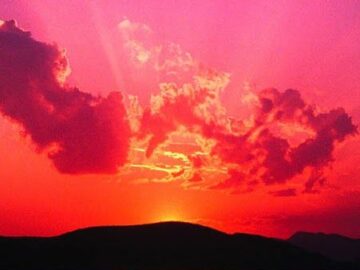 멕시코시티의 맛집, 라 비아 해산물 뷔페에서 펼쳐진 미식의 서사