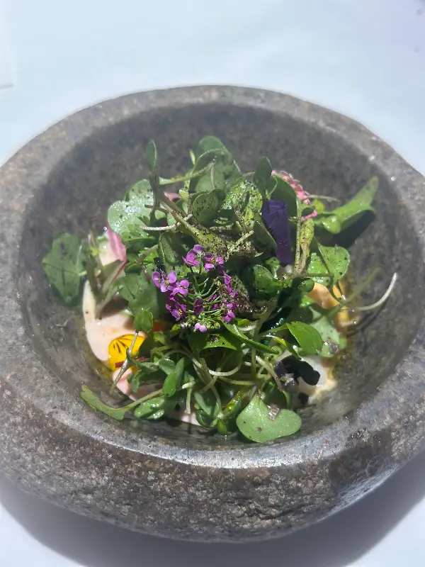 싱그러운 채소가 가득 담긴 샐러드