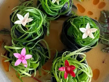 상파울루 미식의 정수, 하코에서 만나는 창의적인 맛의 향연