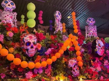 그랜빌 스트리트의 맛, 밴쿠버 최고의 타코 맛집 서사