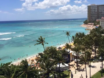 만두 맛집 탐험기, 골목길 숨은 보석을 찾아서 떠나는 서울 미식 여행