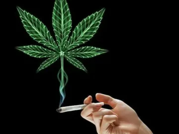 낙원에서의 향긋한 미식 경험, 서울 숨겨진 맛집