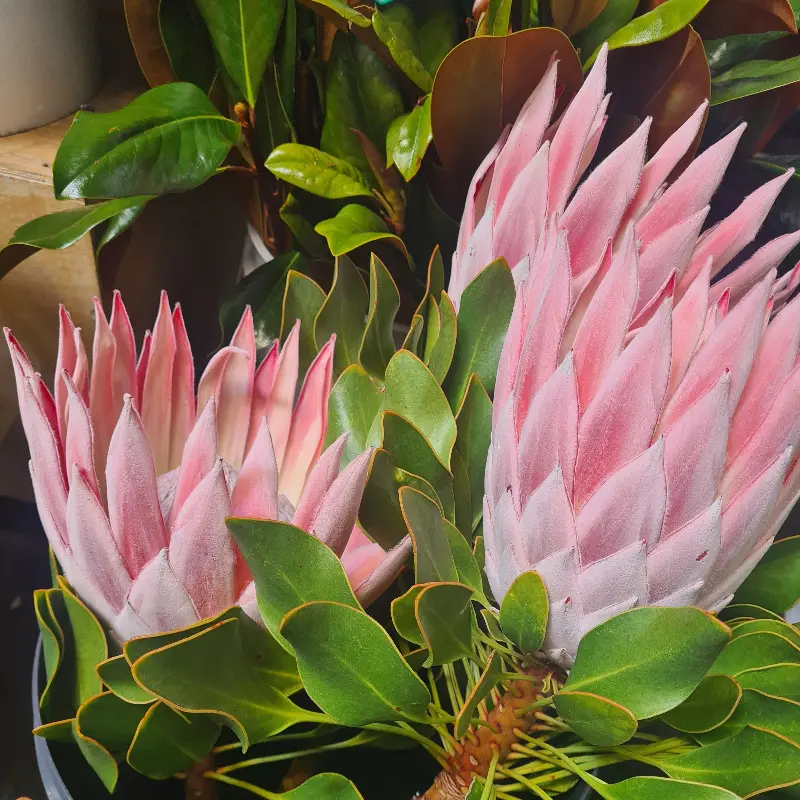 테이블 위 꽃 장식