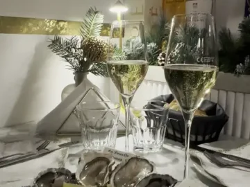 비엔나 미식 골목, 숨겨진 오이스터 맛집의 황홀경