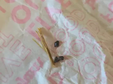 더블린에서 만나는 멕시코의 맛, Boojum: 현지인이 사랑하는 Abbey Street 맛집 여정