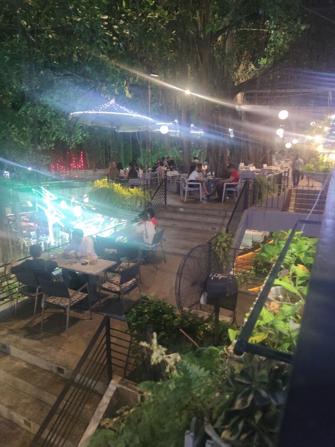 카페 연못과 분수