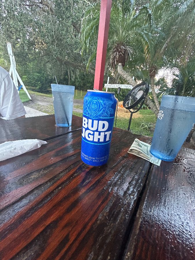 푸른 하늘 아래 야외 식사