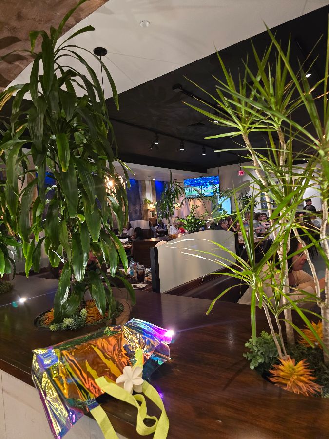 솔 아가베 음식