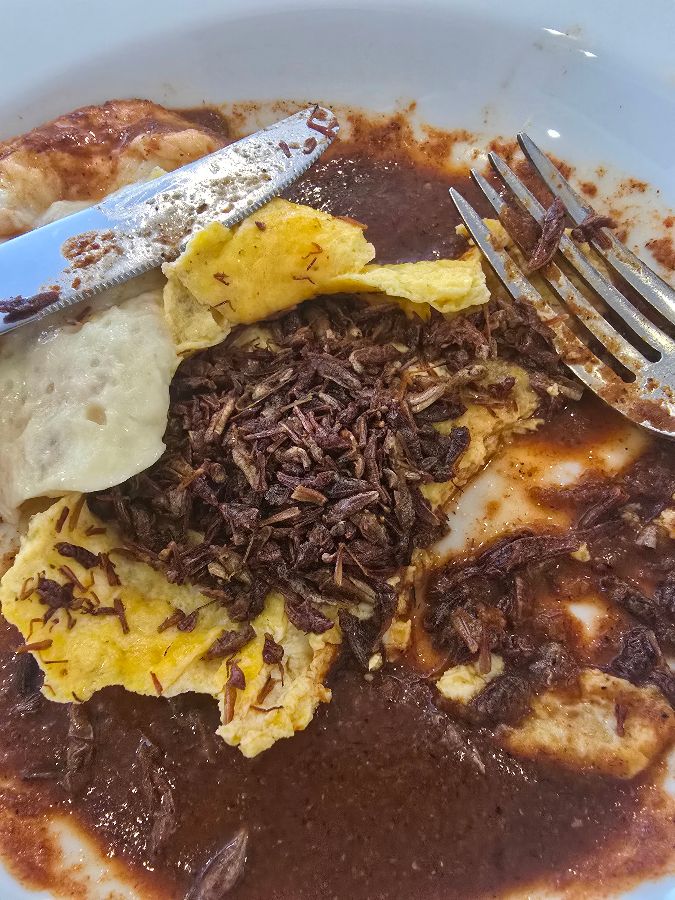 개미 오믈렛의 잔해