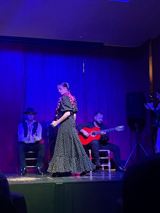 플라멩코 공연 중인 여성 댄서