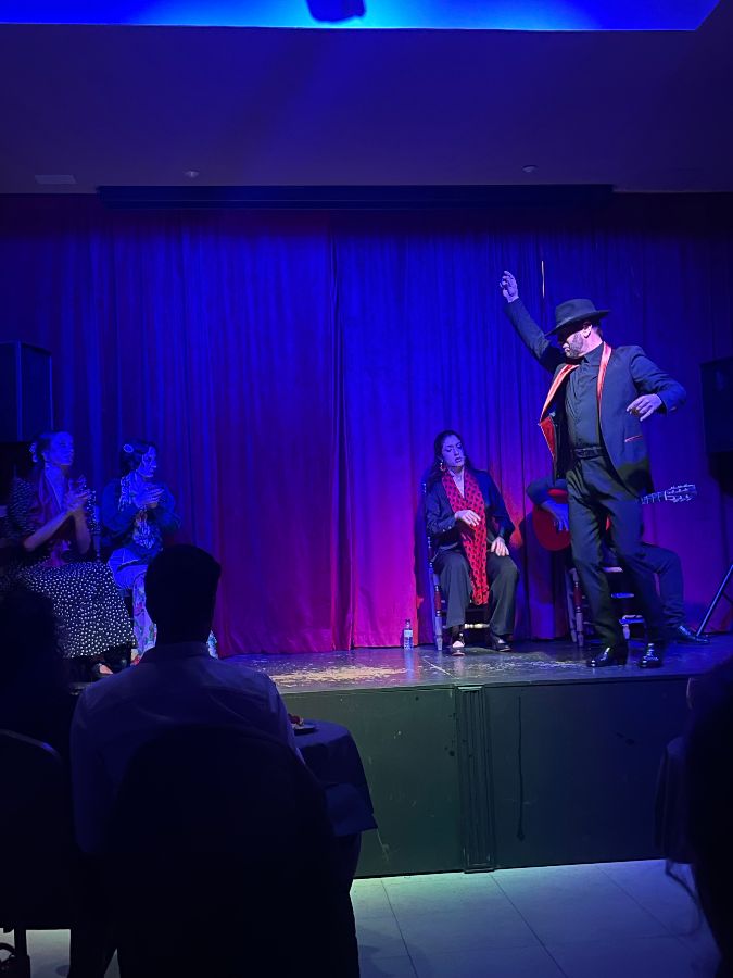 남성 댄서의 열정적인 무대