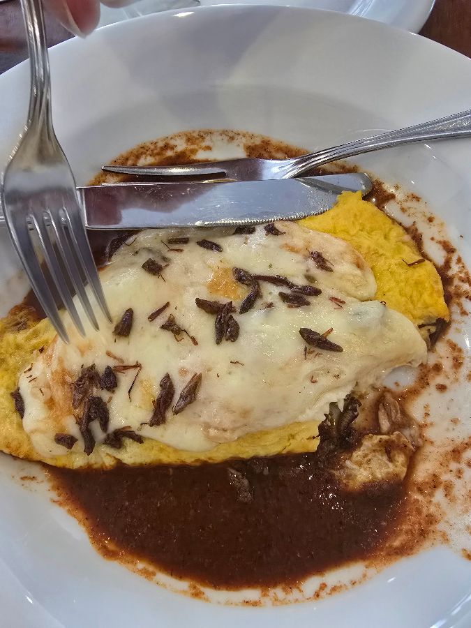 개미 오믈렛의 단면