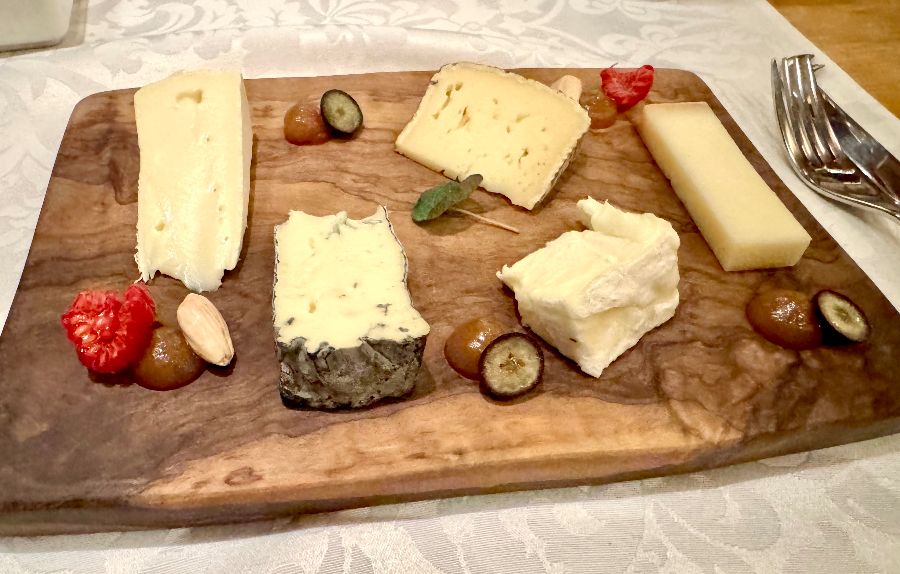 다양한 종류의 치즈