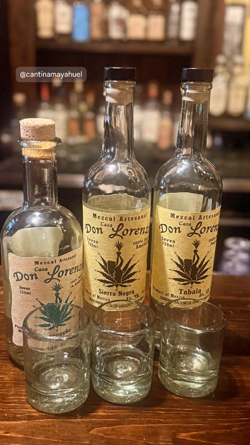 메스칼 플라이트