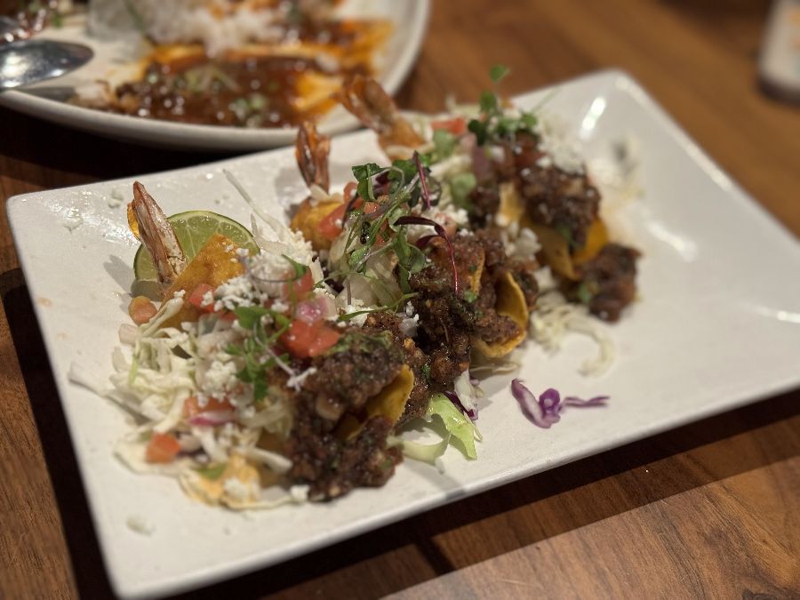 시금치 엔칠라다