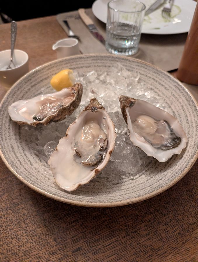 신선함이 느껴지는 굴 요리