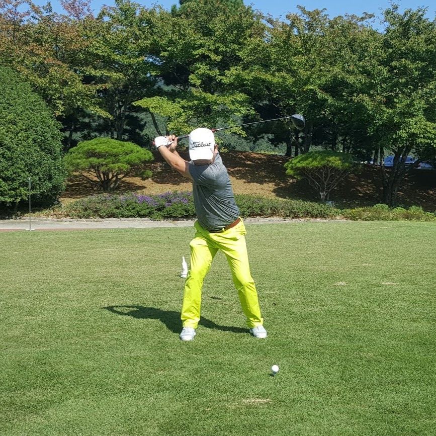 골프 스윙 자세