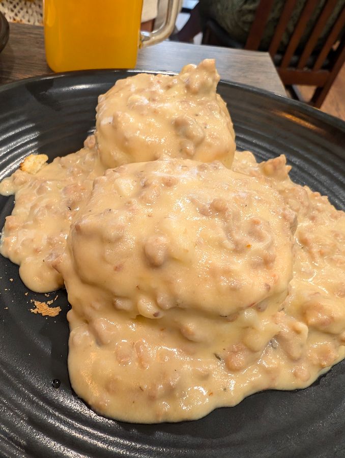 비스킷과 그레이비