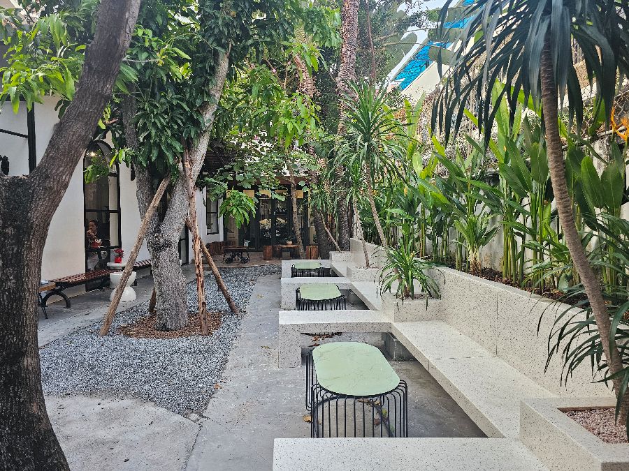 카페 정원 풍경