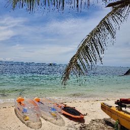 맑은 해변가의 풍경과 카약