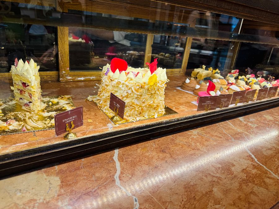 케이크 쇼케이스