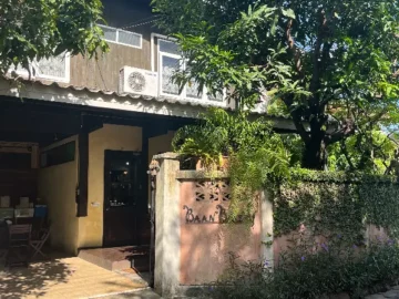 향긋한 버터 내음 가득, 치앙마이 여행자들의 숨겨진 빵지순례 맛집