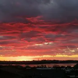 오클랜드 파라다이스에서 만나는 맛의 천국, 맥레오즈로 떠나는 미식여행