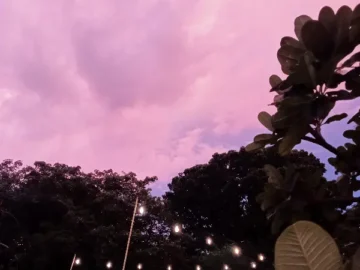 마닐라 만의 황홀경, 비노 파티오에서 맛보는 로컬푸드 맛집 향연