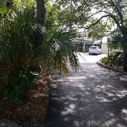 올랜도 미식가의 성지, 도무(DOMU)에서 만나는 인생 라멘 맛집