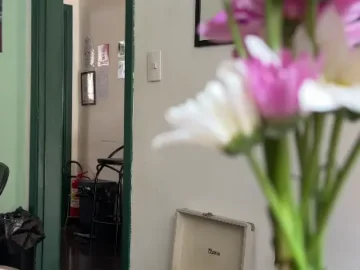 상파울루 골목길 숨은 보석, 베트남의 맛을 찾아 떠나는 미식 여행