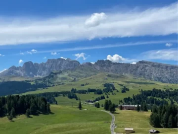 세상에 단 하나뿐인 나무, 용인 맛집 “무화과나무 아래”에서 펼쳐지는 미식의 향연