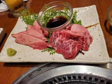 오사카 밤의 미식 오아시스, 우메다 야끼니꾸 맛집 탐험기