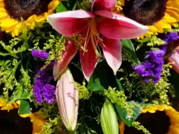 마음을 녹이는 따뜻함, 추억 속 춘천 맛집 이야기