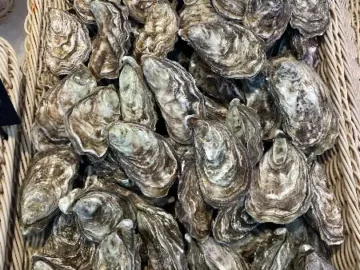 포르투갈 Mercado do Bohao 시장 속 숨겨진 보석, 신선함이 살아있는 해산물 맛집 기행