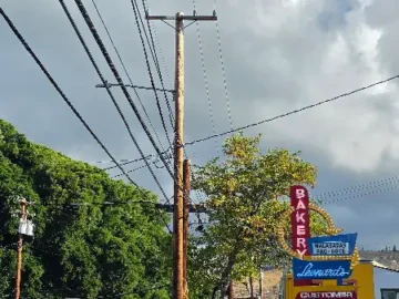 하와이 추억 소환, 레오나즈 베이커리에서 맛보는 달콤한 행복 맛집