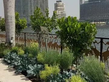 카이로 나일강 맛집, Sofitel Cairo El Gezirah에서 즐기는 낭만적인 미식 여행