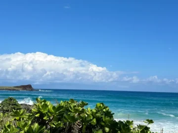 와이키키 해변의 낙원, 선셋과 음악이 흐르는 오아후 맛집 서사