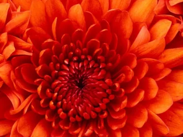 라스베이거스 추억 한 조각, 야소 그리스 그릴 카페에서 맛보는 최고의 지역 맛집