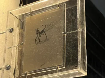 악마의 속삭임이 들리는 듯한 치앙마이 최고의 칵테일 바 맛집 서사